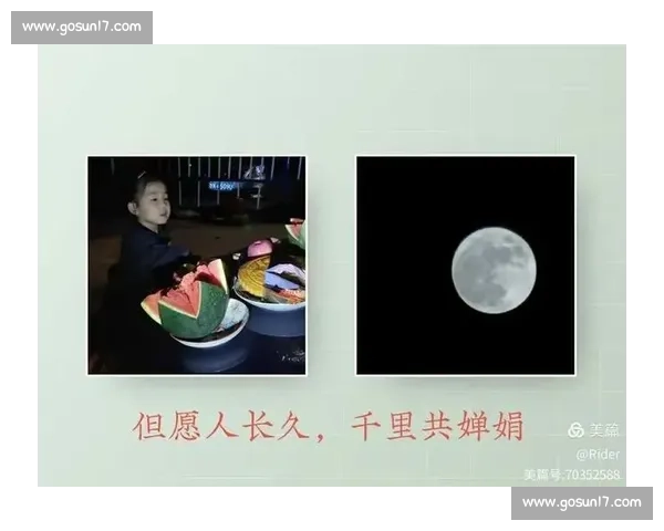 通过歌曲表达情感与志向的深刻意义与独特魅力探析